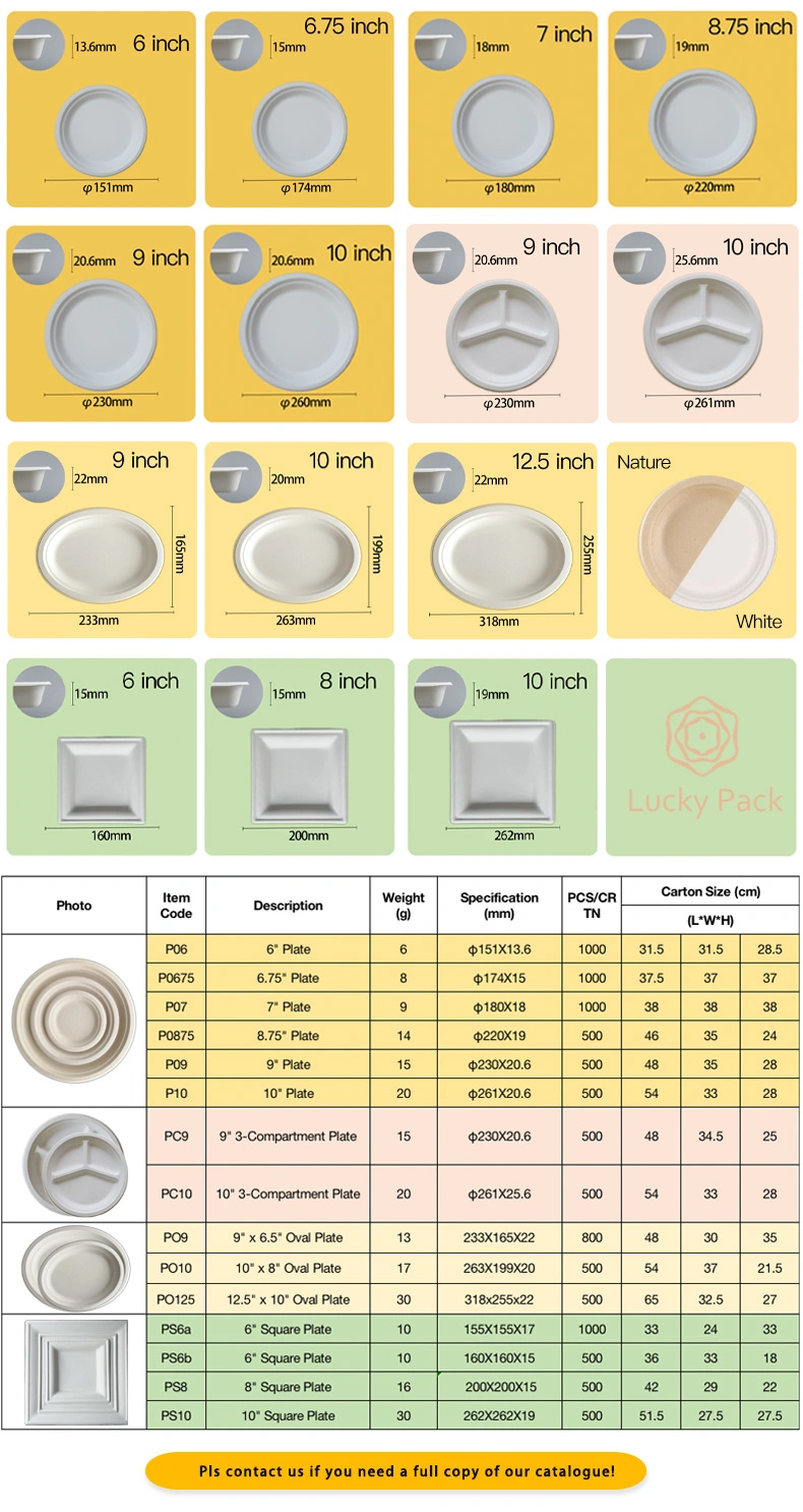 Biodegradable Compostable Disposable Eco Friendly Sugarcane Bagasse Dinnerware